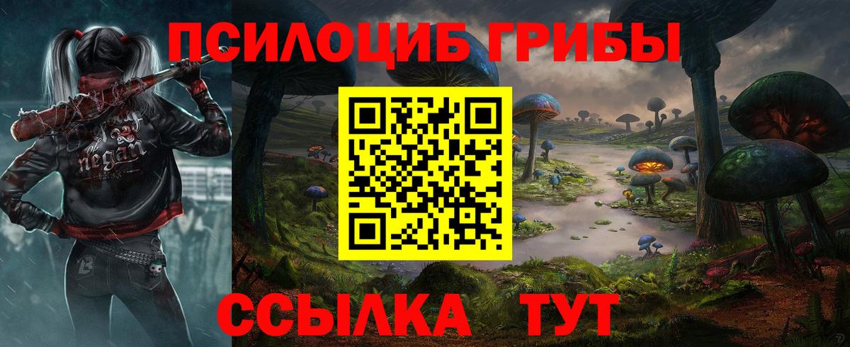 где купить наркоту  Псилоцибиновые грибы мухоморы  Вход с VPN  Борисоглебск  Галлюциногенные грибы GOLDEN TEACHER 